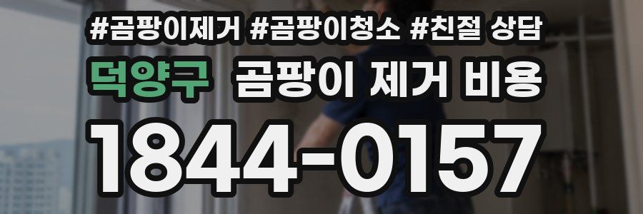 덕양구 곰팡이 제거 비용
