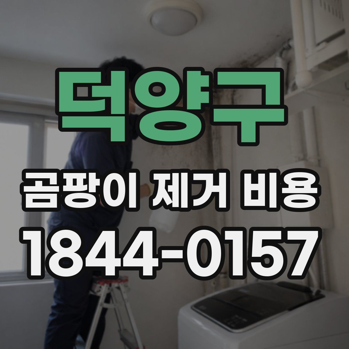덕양구 곰팡이 제거 비용