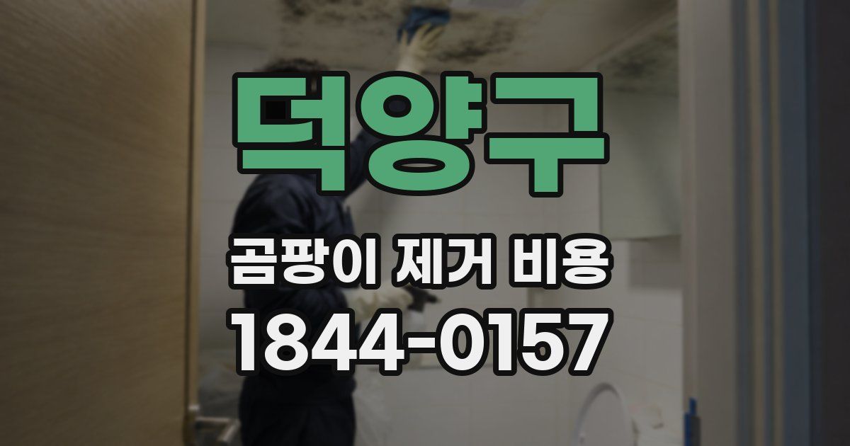 덕양구 곰팡이 제거 비용
