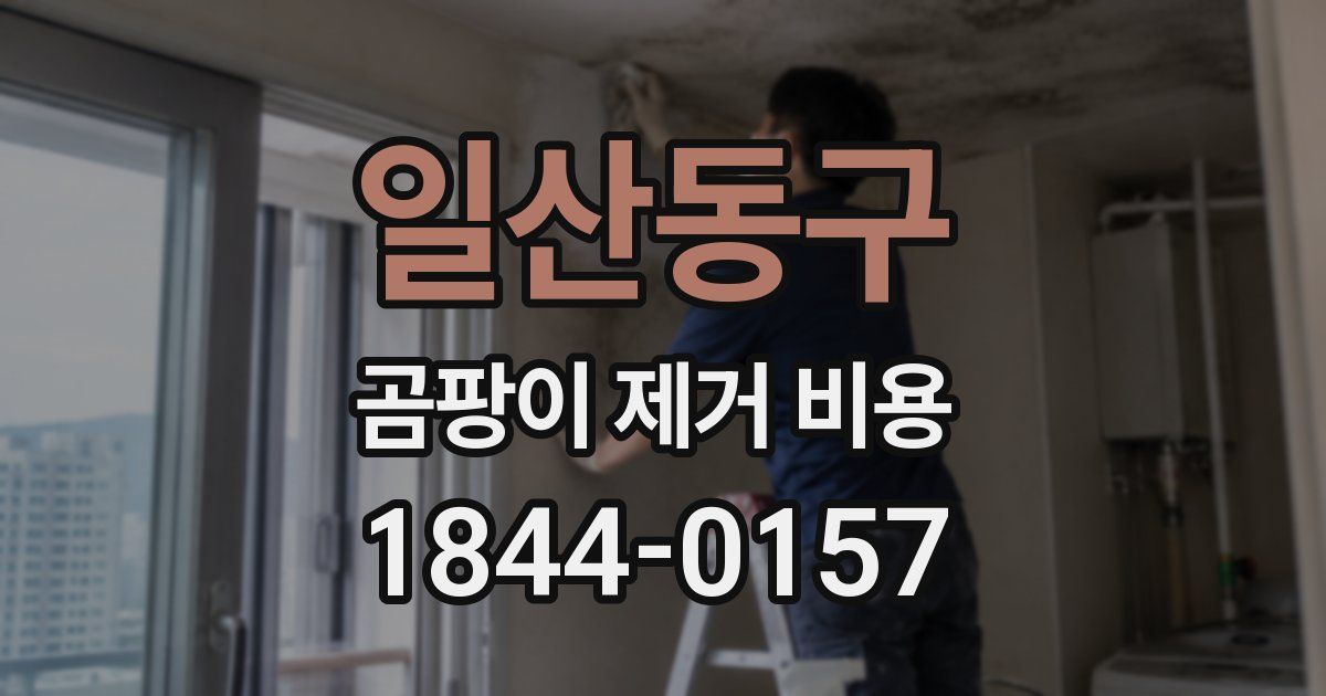 일산동구 곰팡이 제거 비용