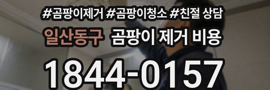 일산동구 곰팡이 제거 비용