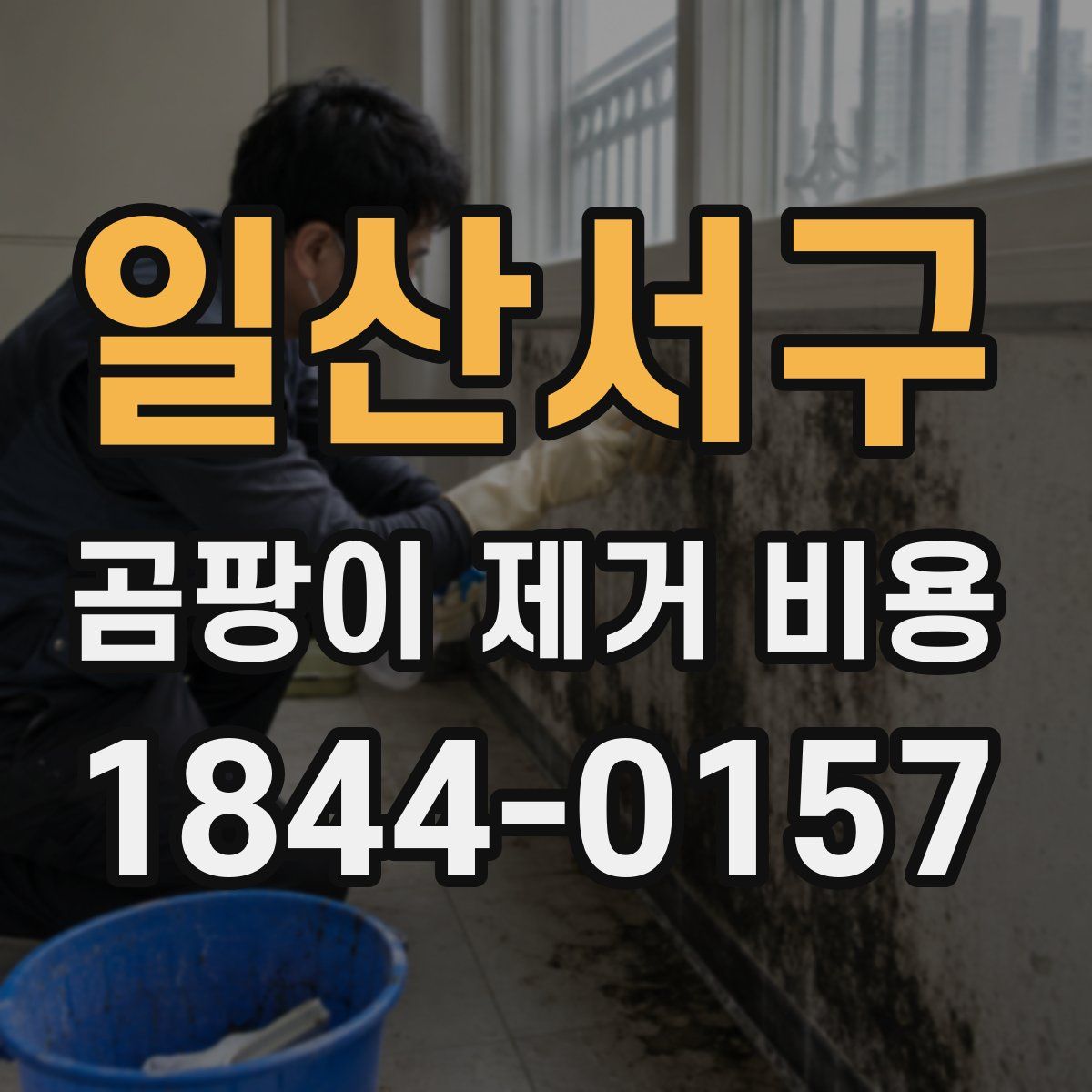 일산서구 곰팡이 제거 비용