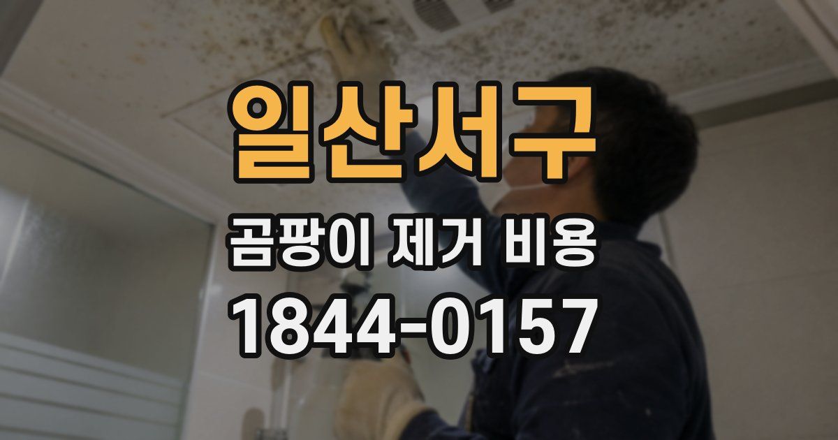 일산서구 곰팡이 제거 비용