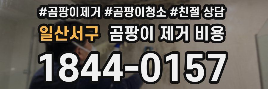 일산서구 곰팡이 제거 비용