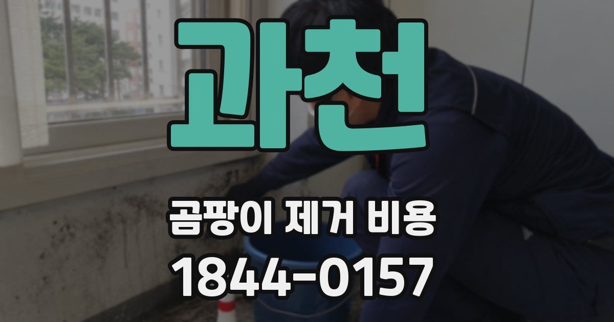 과천 곰팡이 제거 비용