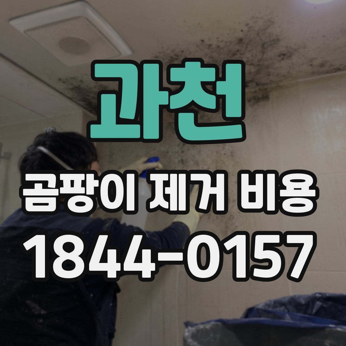 과천 곰팡이 제거 비용