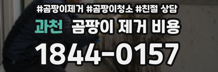 과천 곰팡이 제거 비용