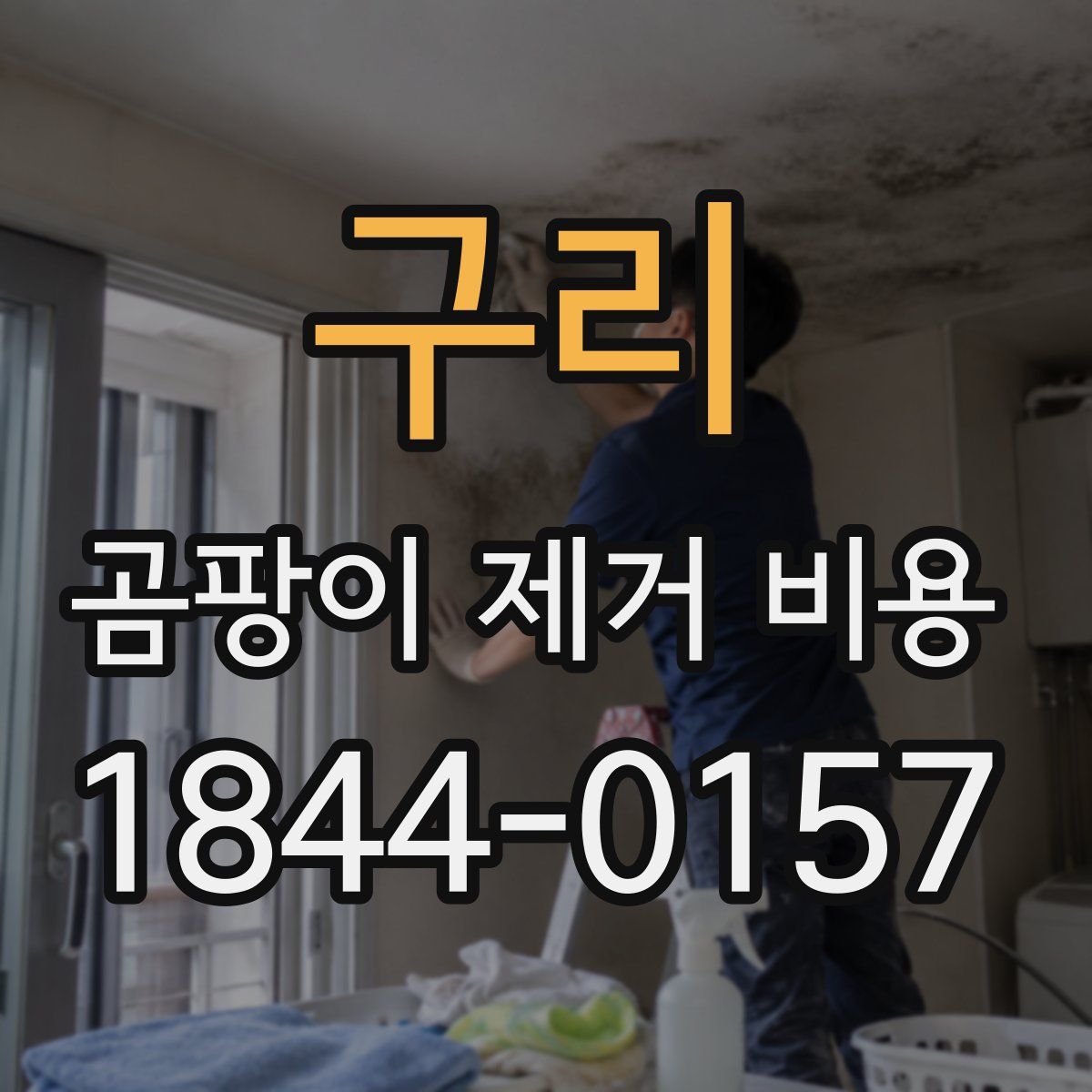구리 곰팡이 제거 비용
