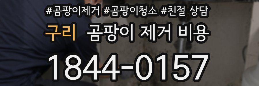 구리 곰팡이 제거 비용