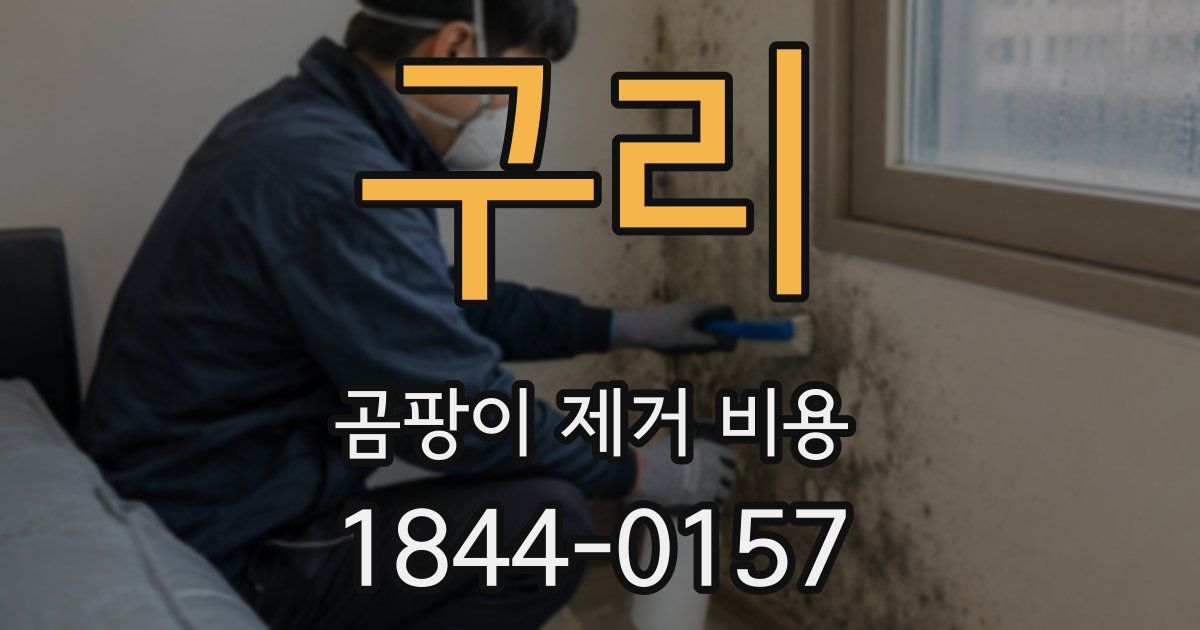 구리 곰팡이 제거 비용