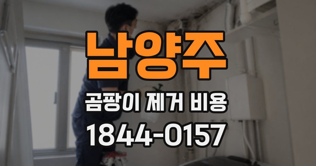 남양주 곰팡이 제거 비용
