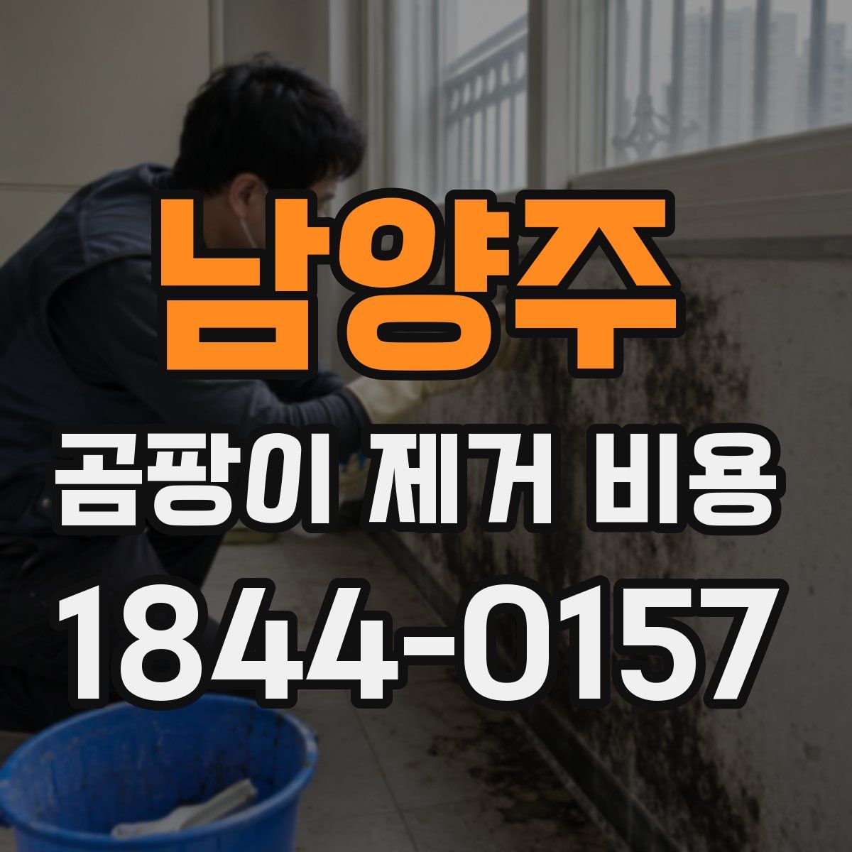 남양주 곰팡이 제거 비용