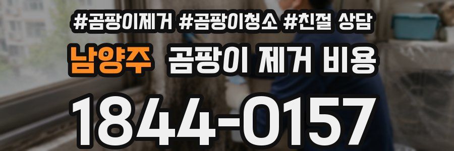 남양주 곰팡이 제거 비용