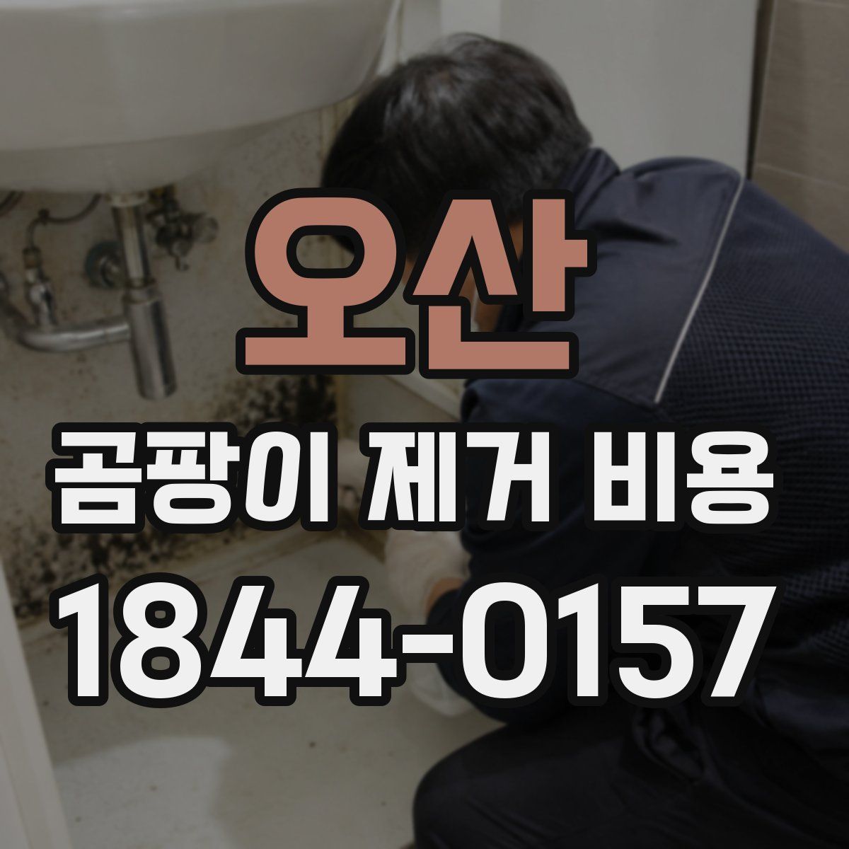 오산 곰팡이 제거 비용