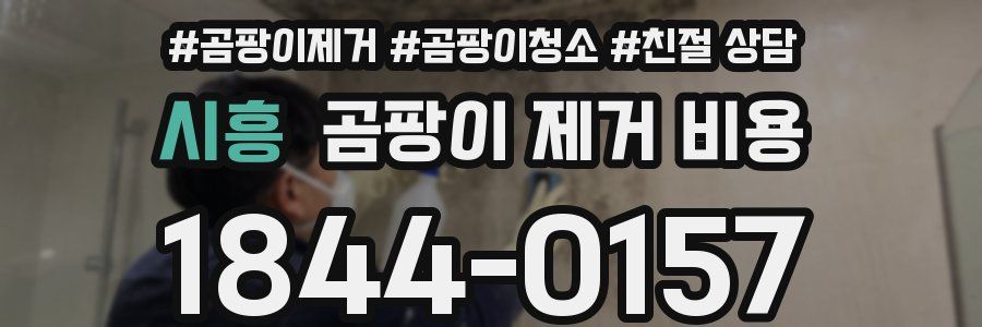 시흥 곰팡이 제거 비용
