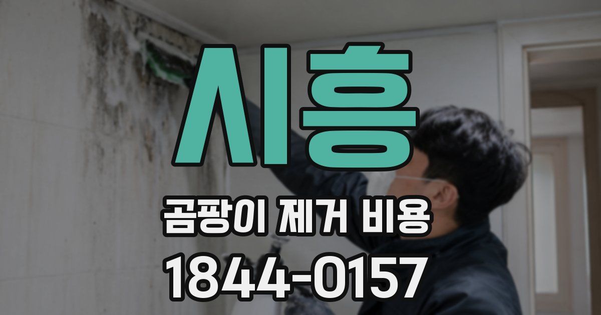 시흥 곰팡이 제거 비용