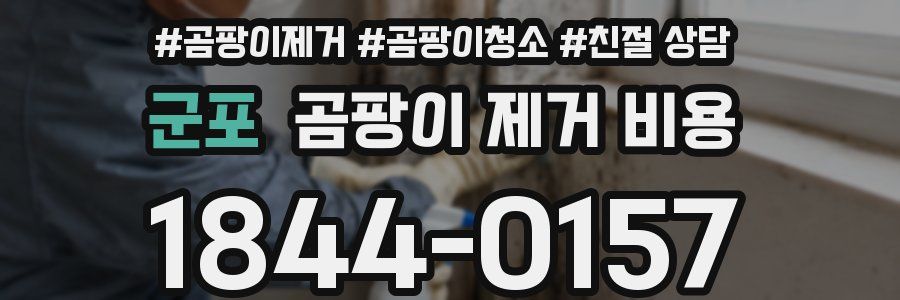 군포 곰팡이 제거 비용
