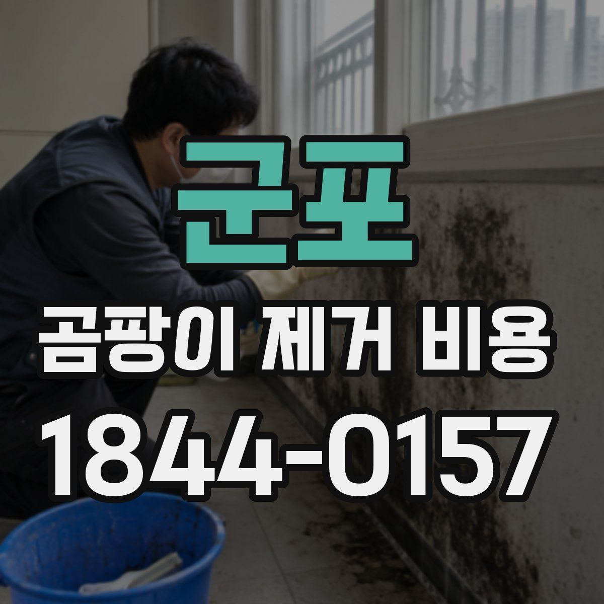군포 곰팡이 제거 비용