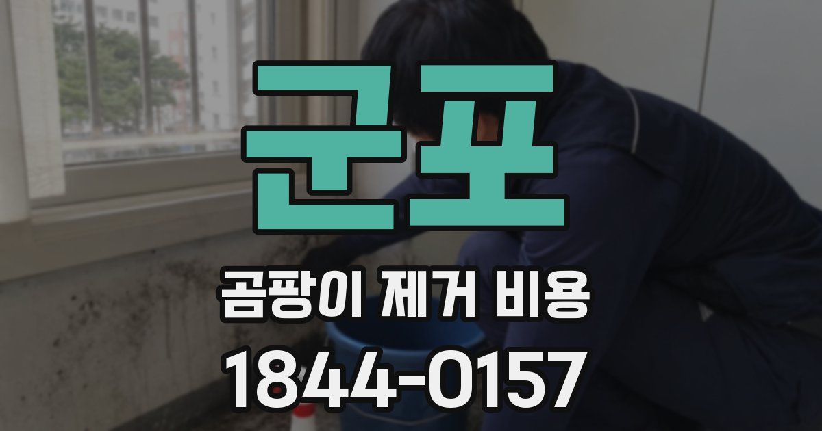 군포 곰팡이 제거 비용