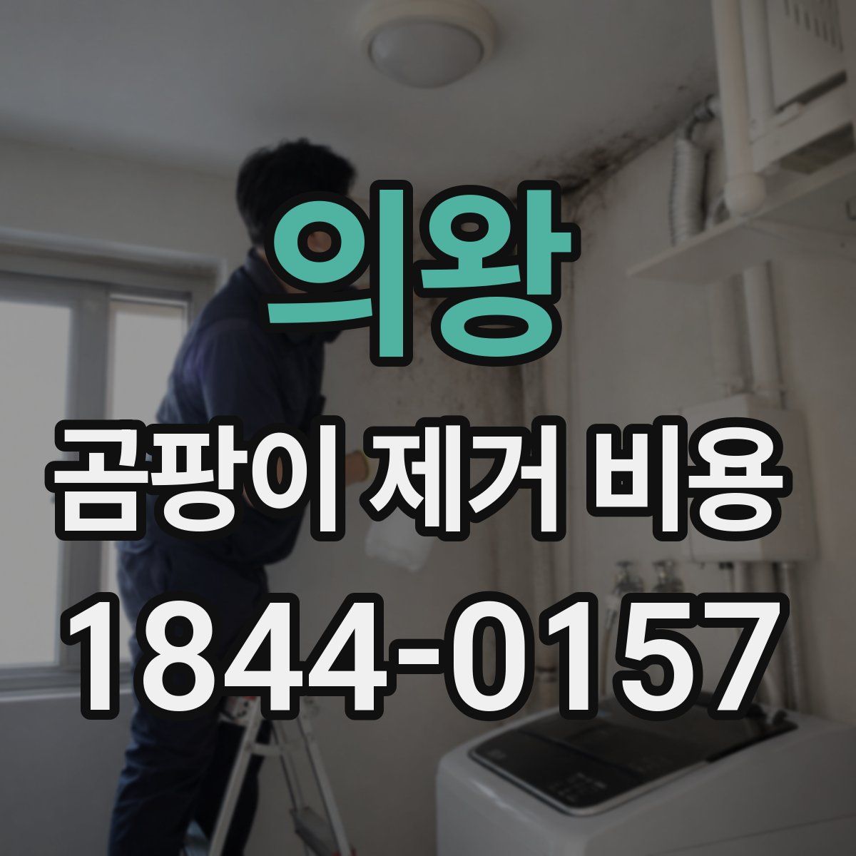 의왕 곰팡이 제거 비용