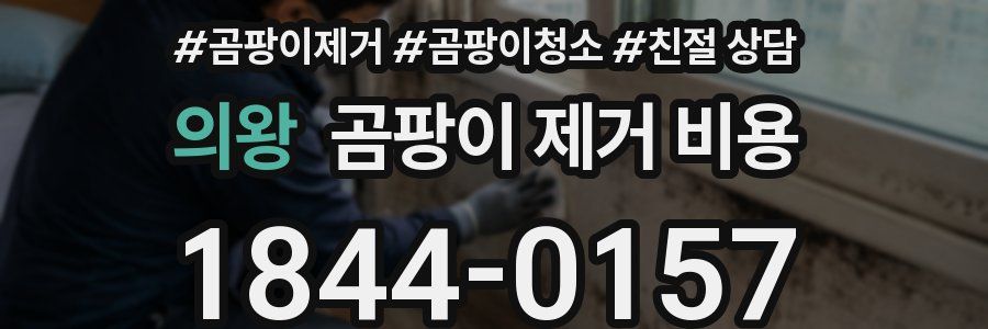 의왕 곰팡이 제거 비용
