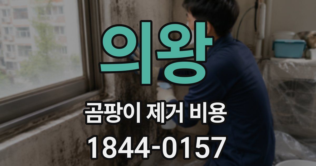 의왕 곰팡이 제거 비용