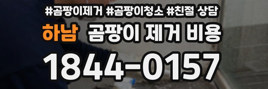 하남 곰팡이 제거 비용