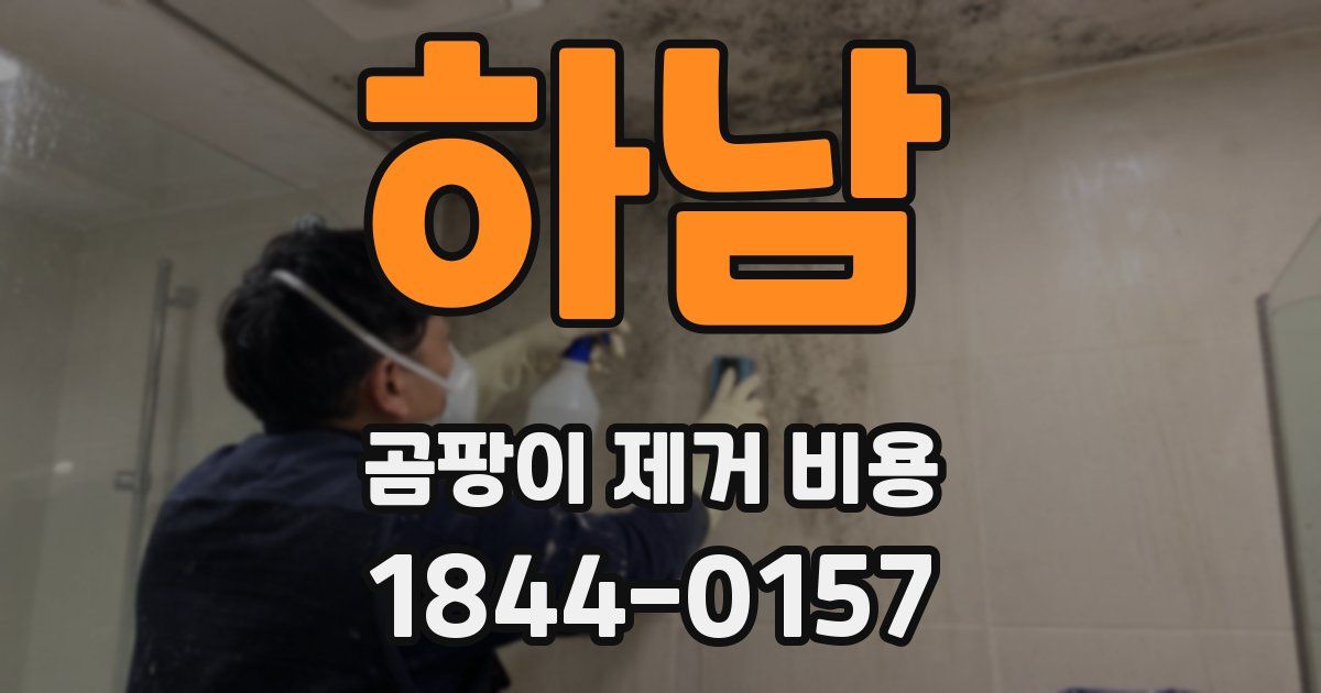 하남 곰팡이 제거 비용
