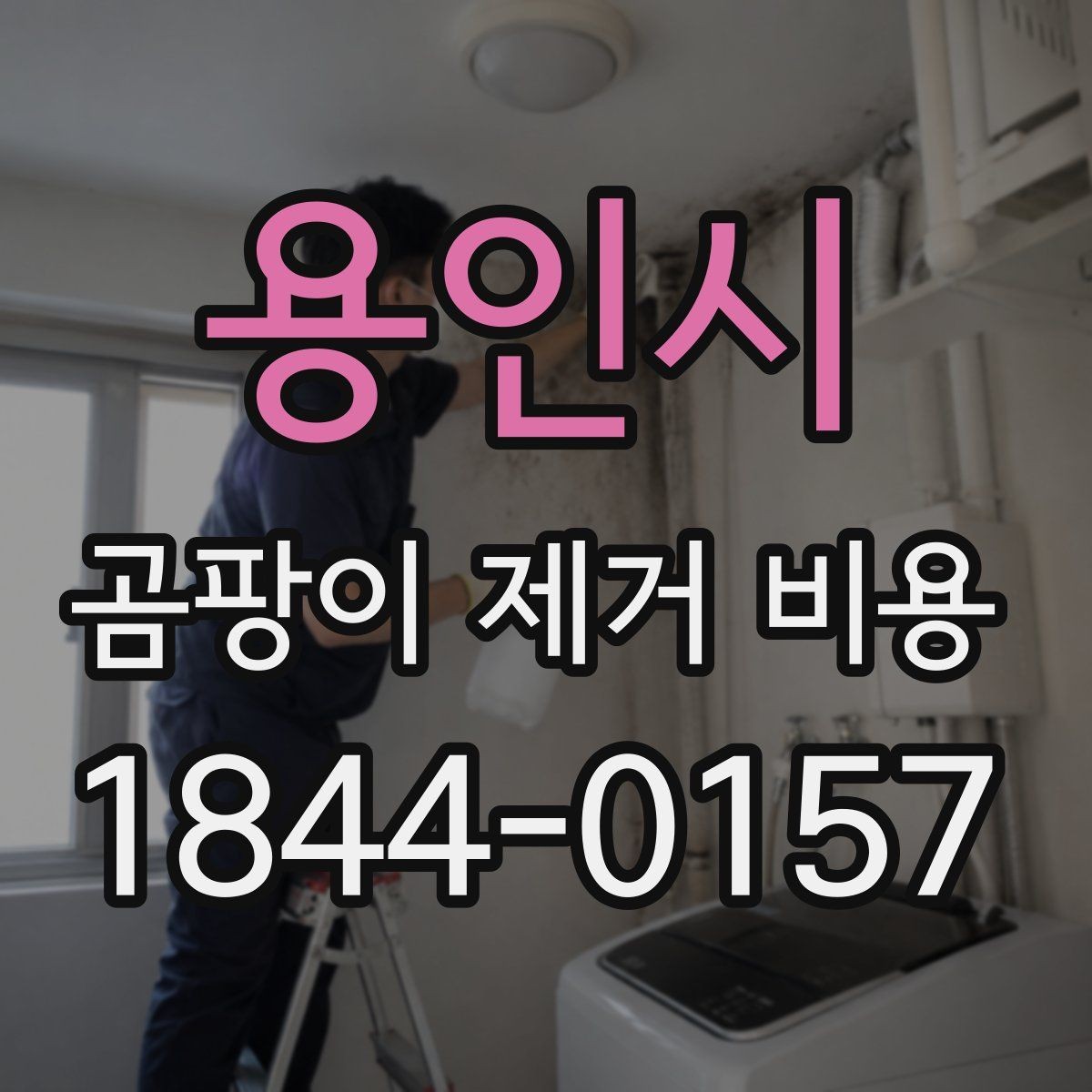 용인시 곰팡이 제거 비용 표면 처리만으로 충분한지 판단하는 법
