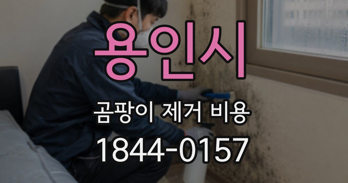 용인시 곰팡이 제거 비용