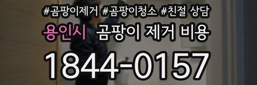 용인시 곰팡이 제거 비용