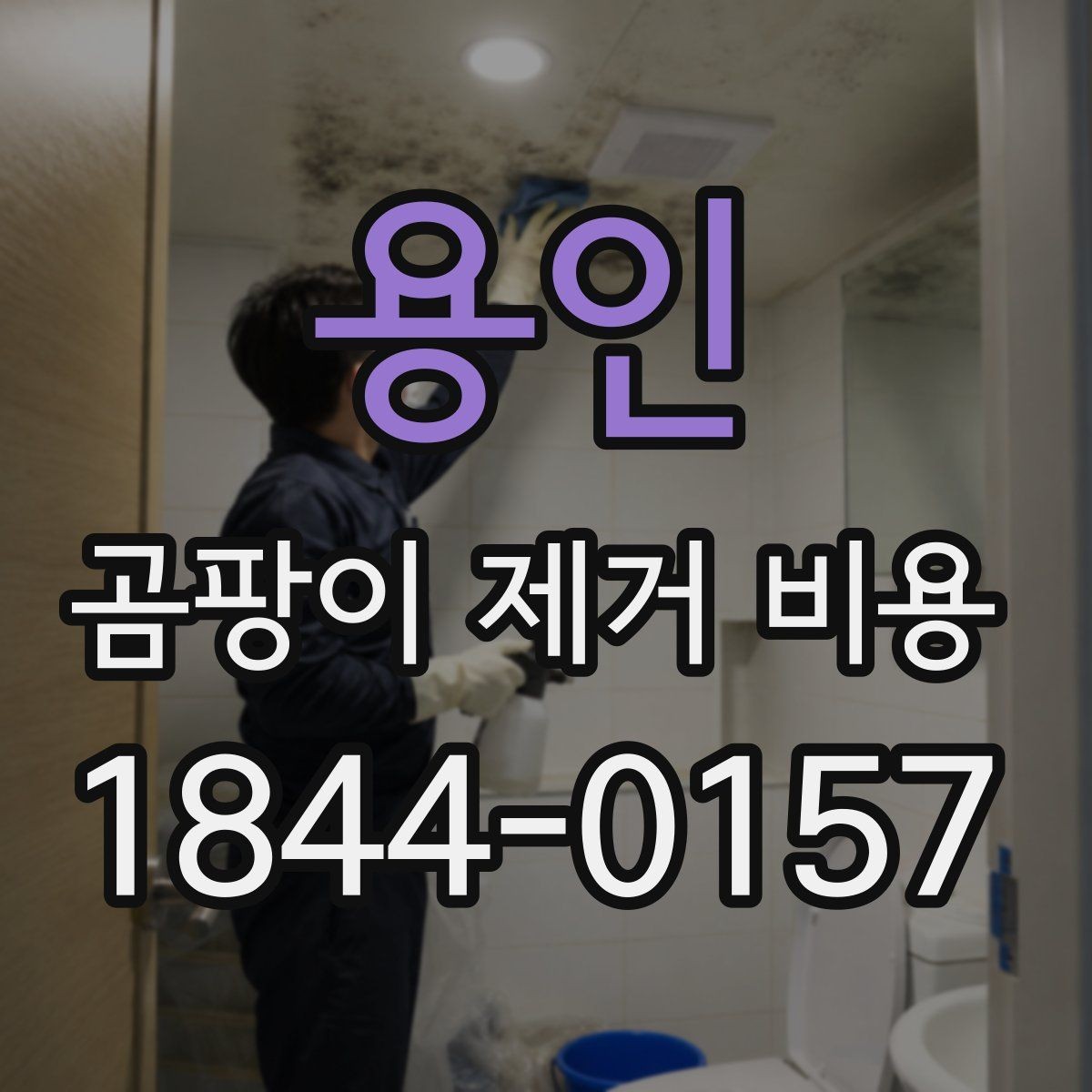 용인 곰팡이 제거 비용 문의 전 체크해야 할 하자 여부