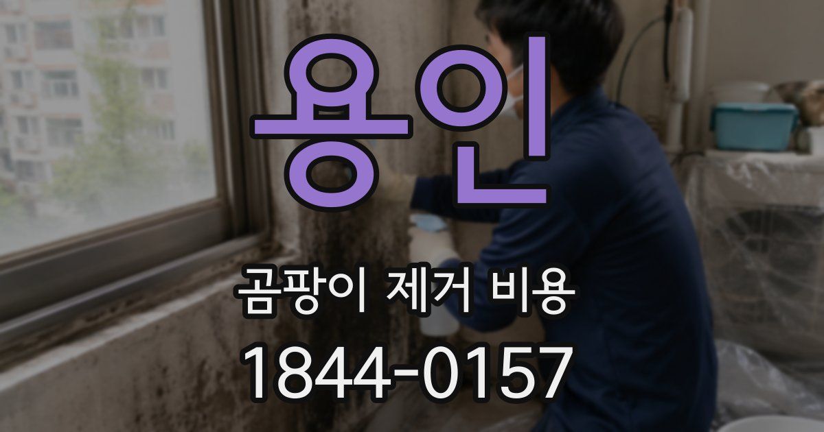 용인 곰팡이 제거 비용