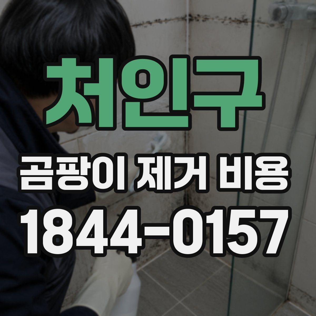 처인구 곰팡이 제거 비용 문의가 많아지는 계절별 특징