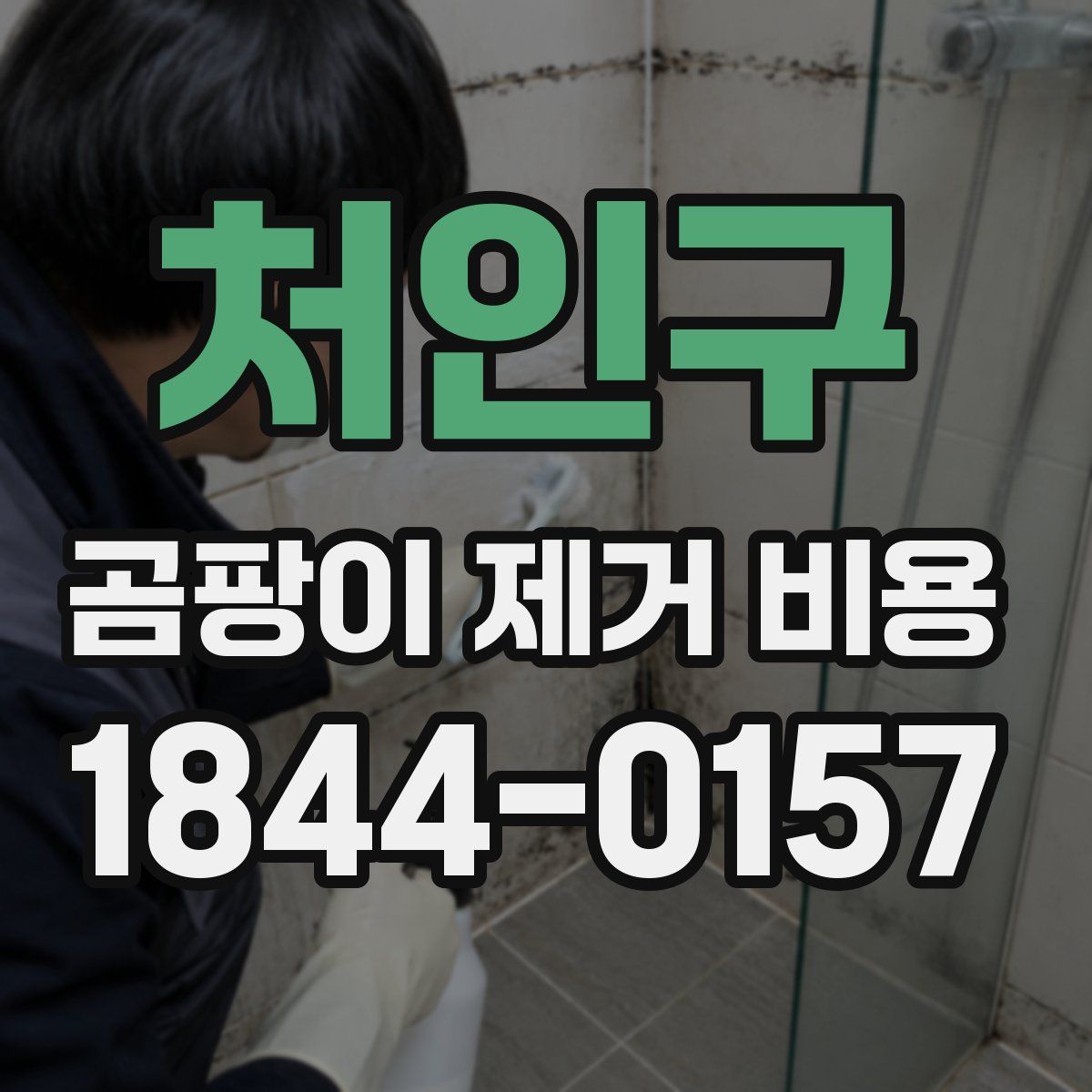처인구 곰팡이 제거 비용