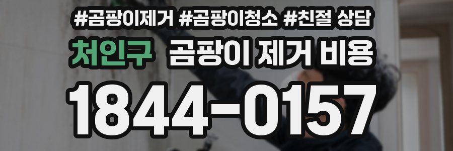 처인구 곰팡이 제거 비용