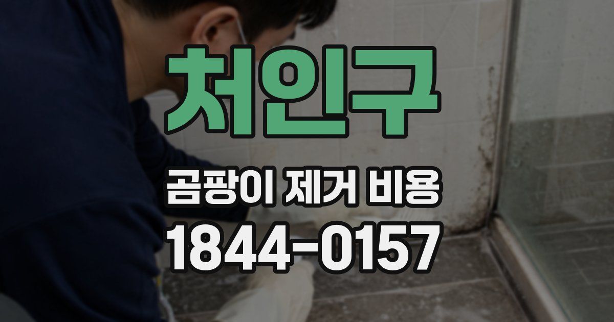 처인구 곰팡이 제거 비용