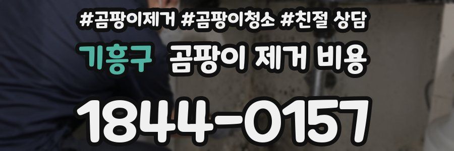 기흥구 곰팡이 제거 비용