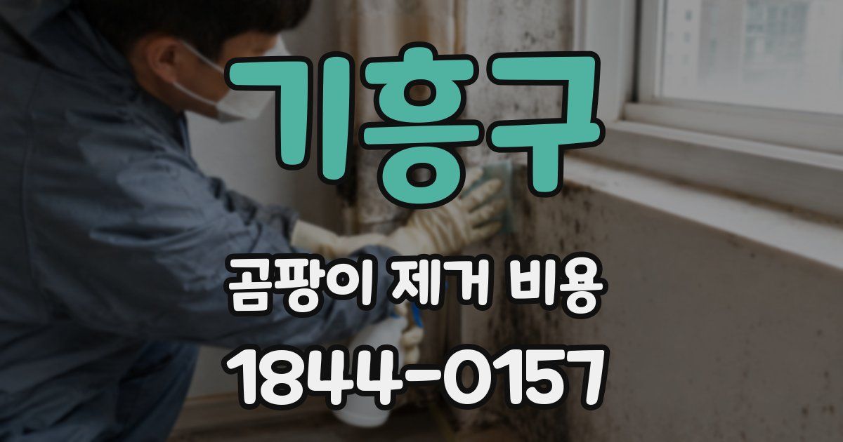 기흥구 곰팡이 제거 비용