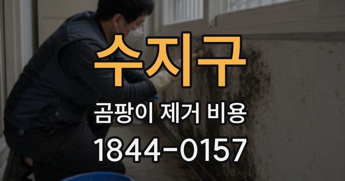 수지구 곰팡이 제거 비용