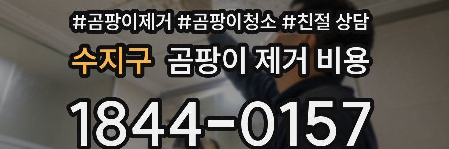 수지구 곰팡이 제거 비용