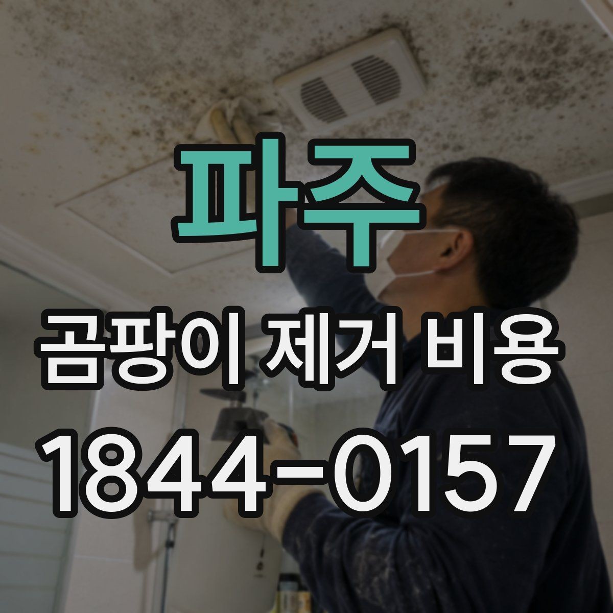파주 곰팡이 제거 비용 전문 시공이 필요한 대표 상황