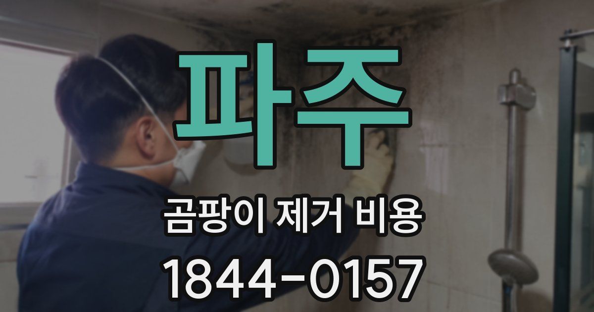 파주 곰팡이 제거 비용