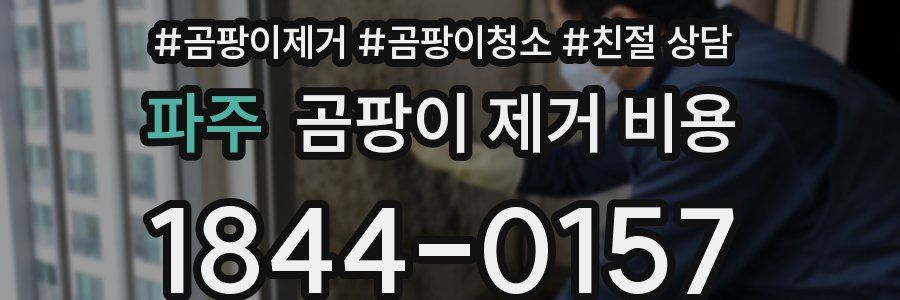파주 곰팡이 제거 비용