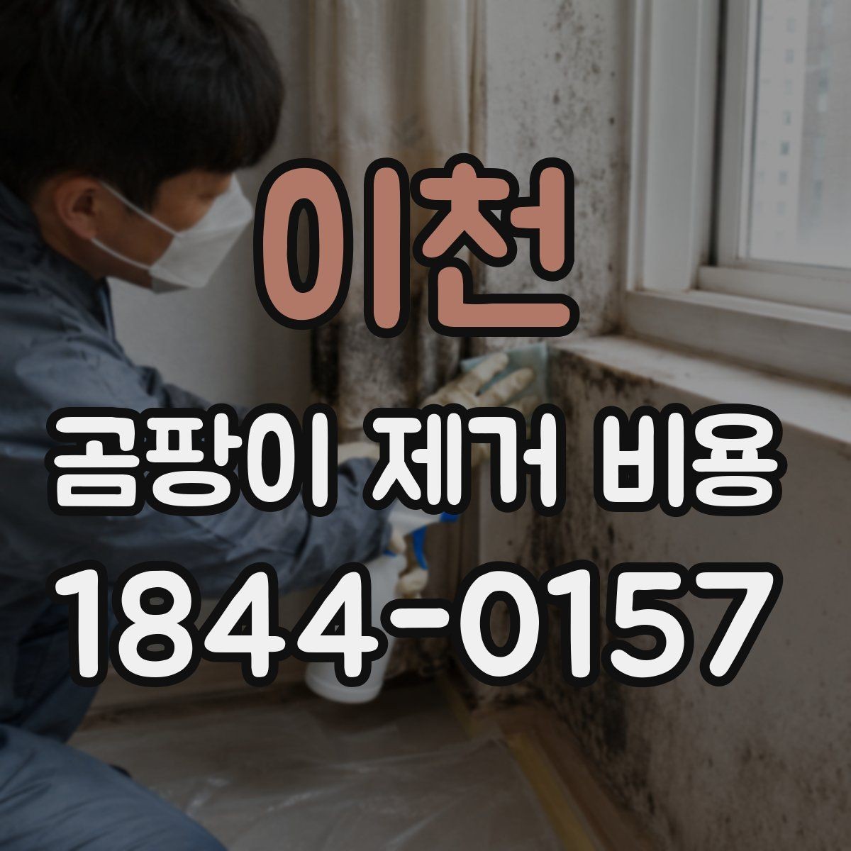이천 곰팡이 제거 비용 평균은 어느 정도일까
