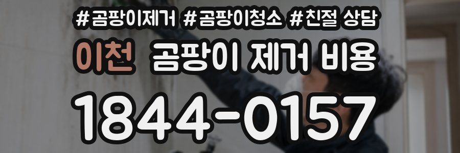 이천 곰팡이 제거 비용