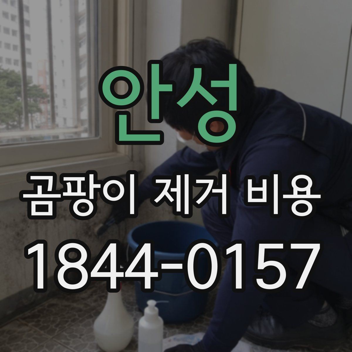 안성 곰팡이 제거 비용 견적 문의 전에 정리해야 할 내용