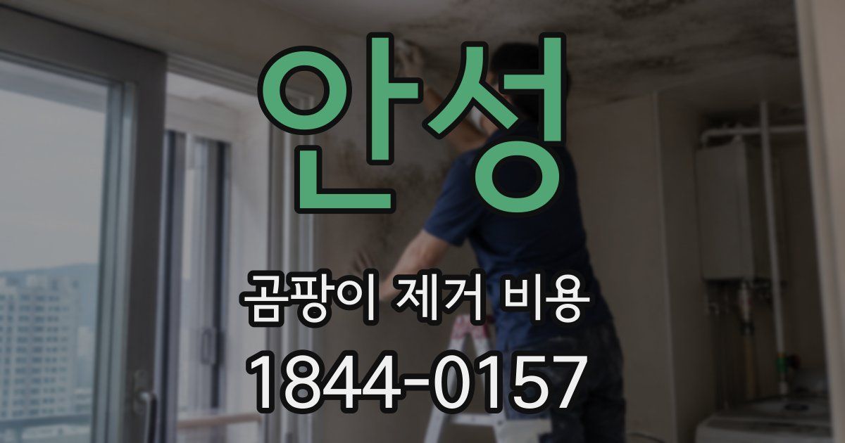 안성 곰팡이 제거 비용