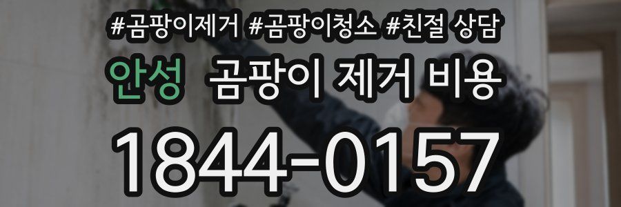 안성 곰팡이 제거 비용