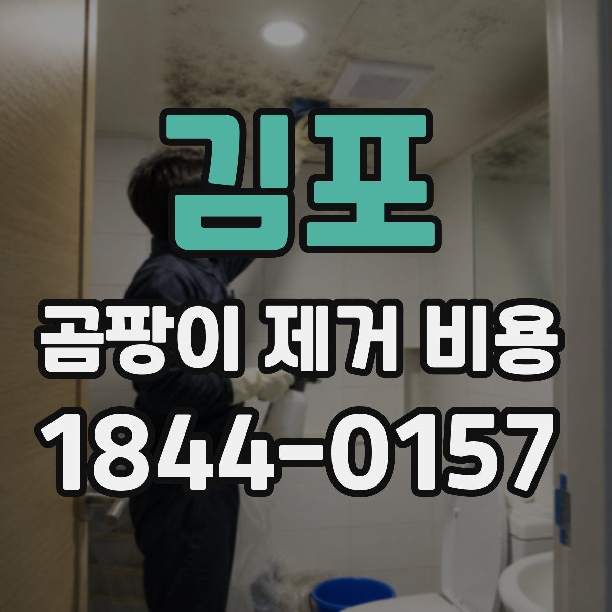 김포 곰팡이 제거 비용 상담 전에 사진을 준비해야 하는 이유